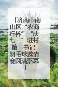 济南市南山区“农商行杯”“庆七一”驻村第一书记 羽毛球邀请赛圆满落幕